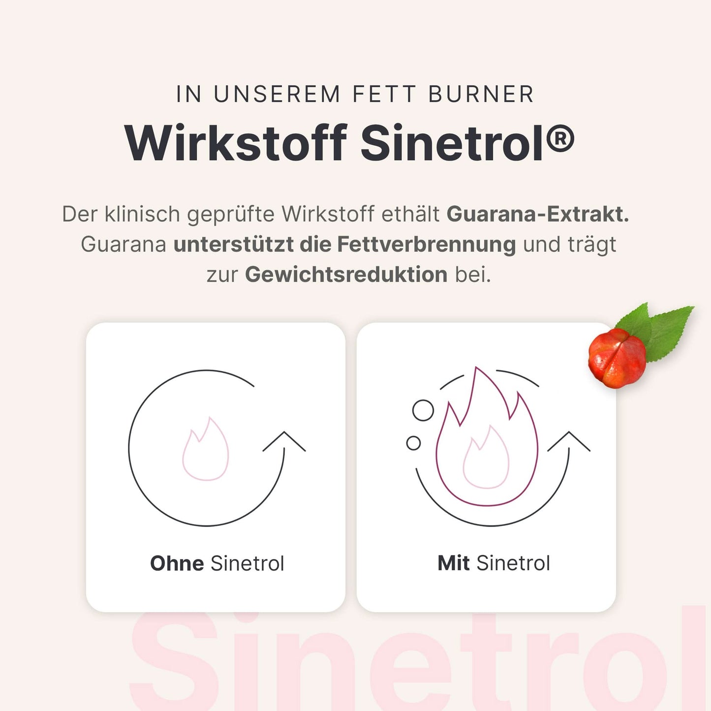 28 - Tage - Stoffwechselkur - 053659