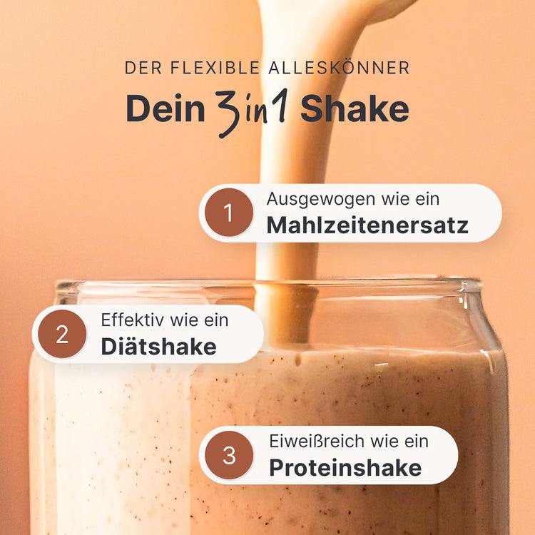 Balance Shake Zimt