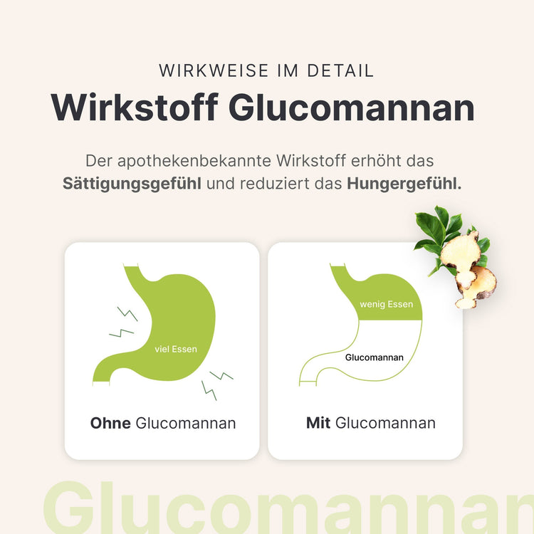 4 Wochen Starter-Set Vegan