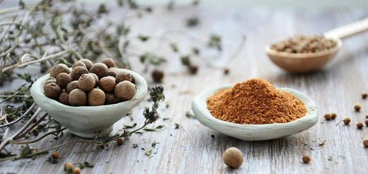 Stoffwechsel anregen - SHEKO Schweiz