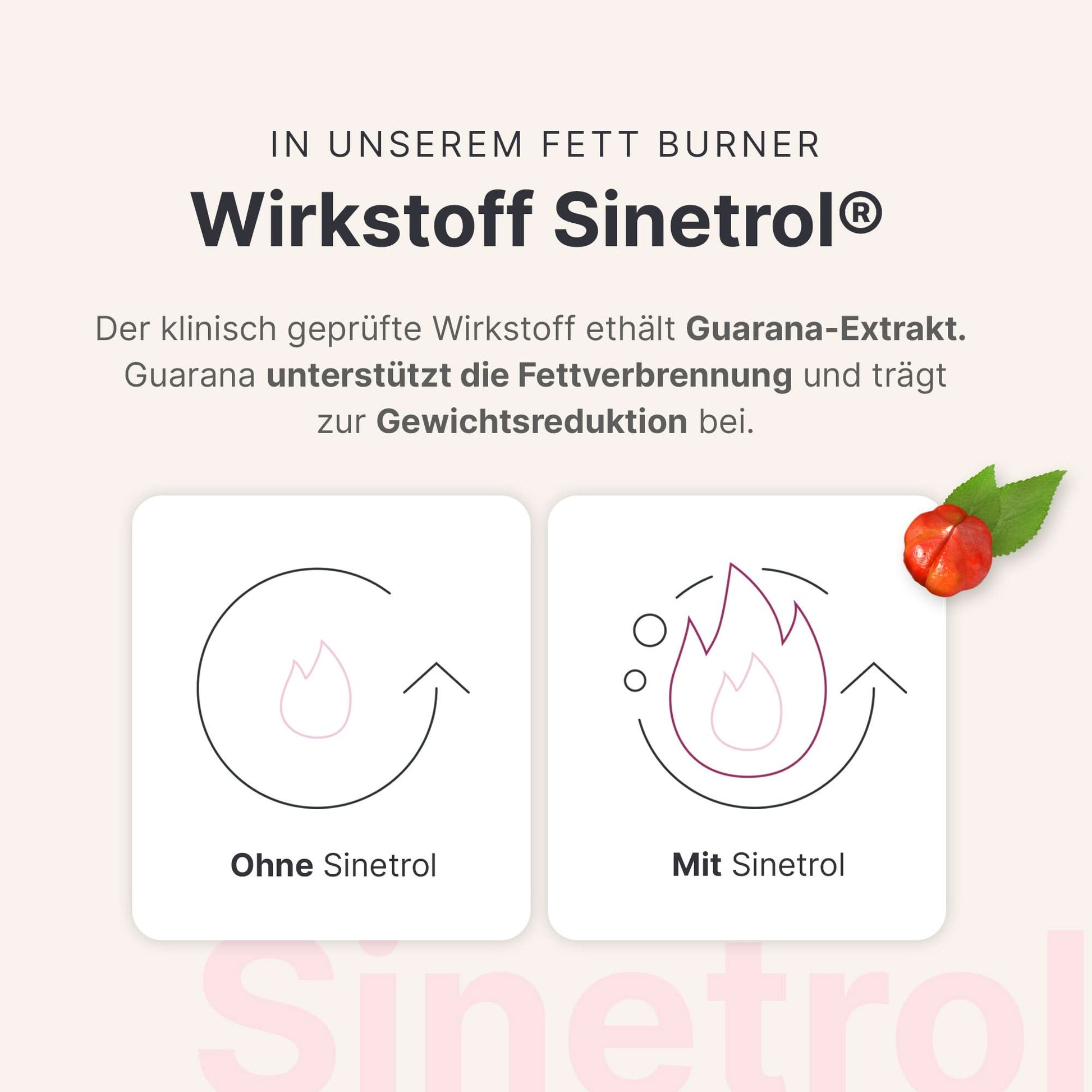 28 - Tage - Stoffwechselkur - 053659