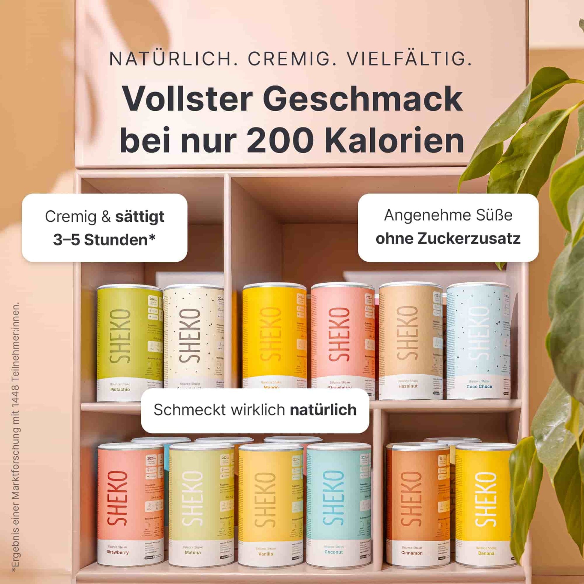4 Wochen Starter - Set - 053472