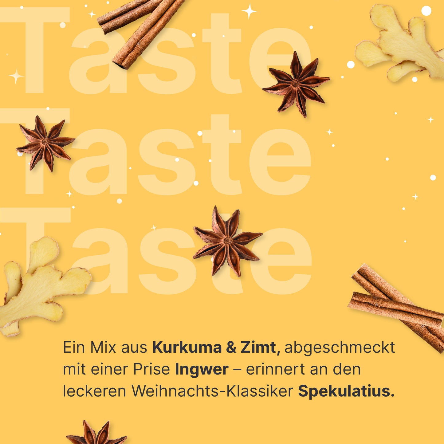 Shakemahlzeit Winterspice (360g)