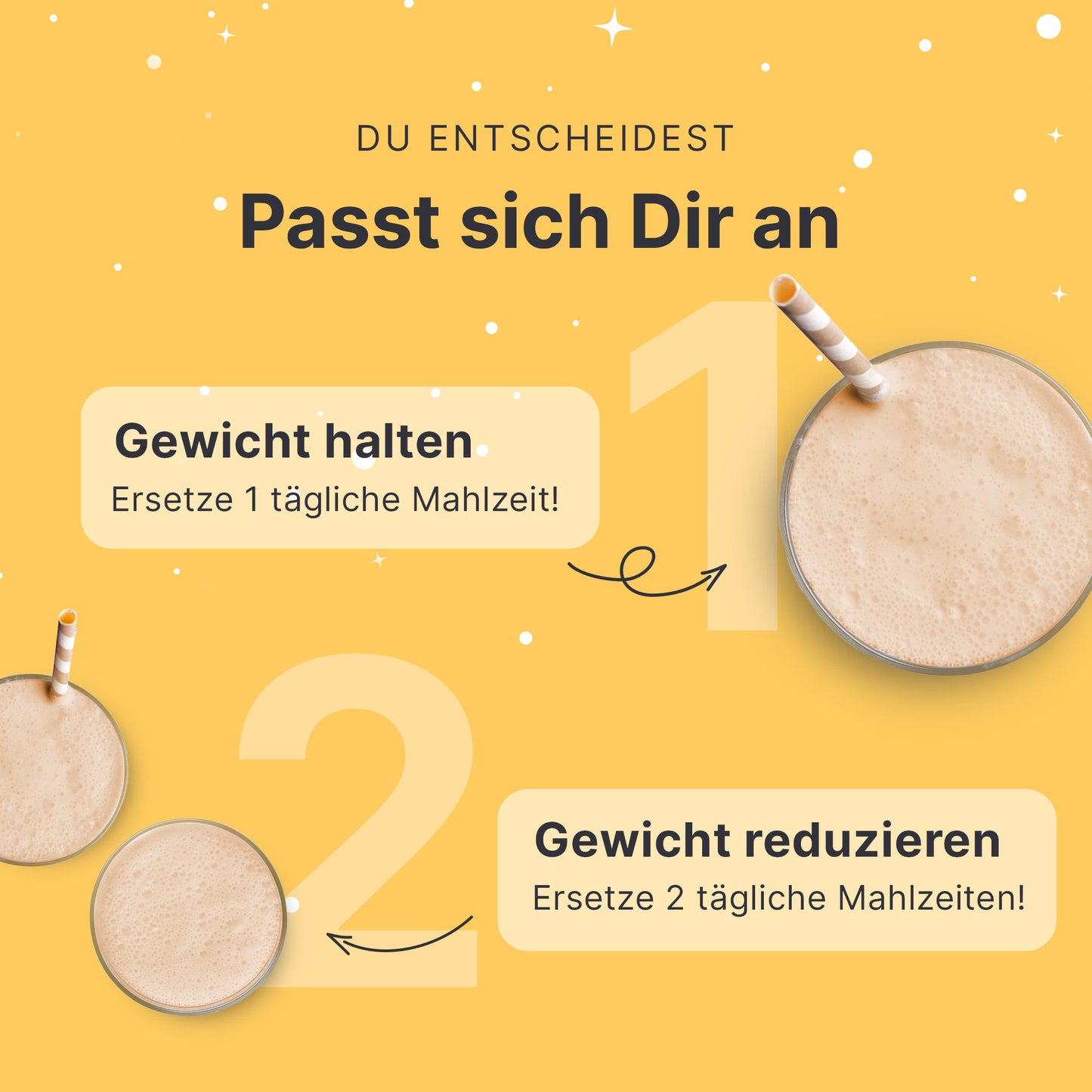 Shakemahlzeit Winterspice (360g)