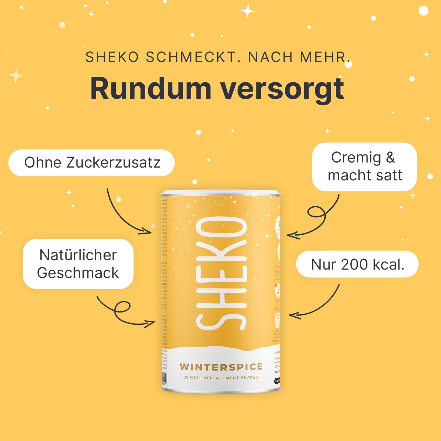 Shakemahlzeit Winterspice (360g)