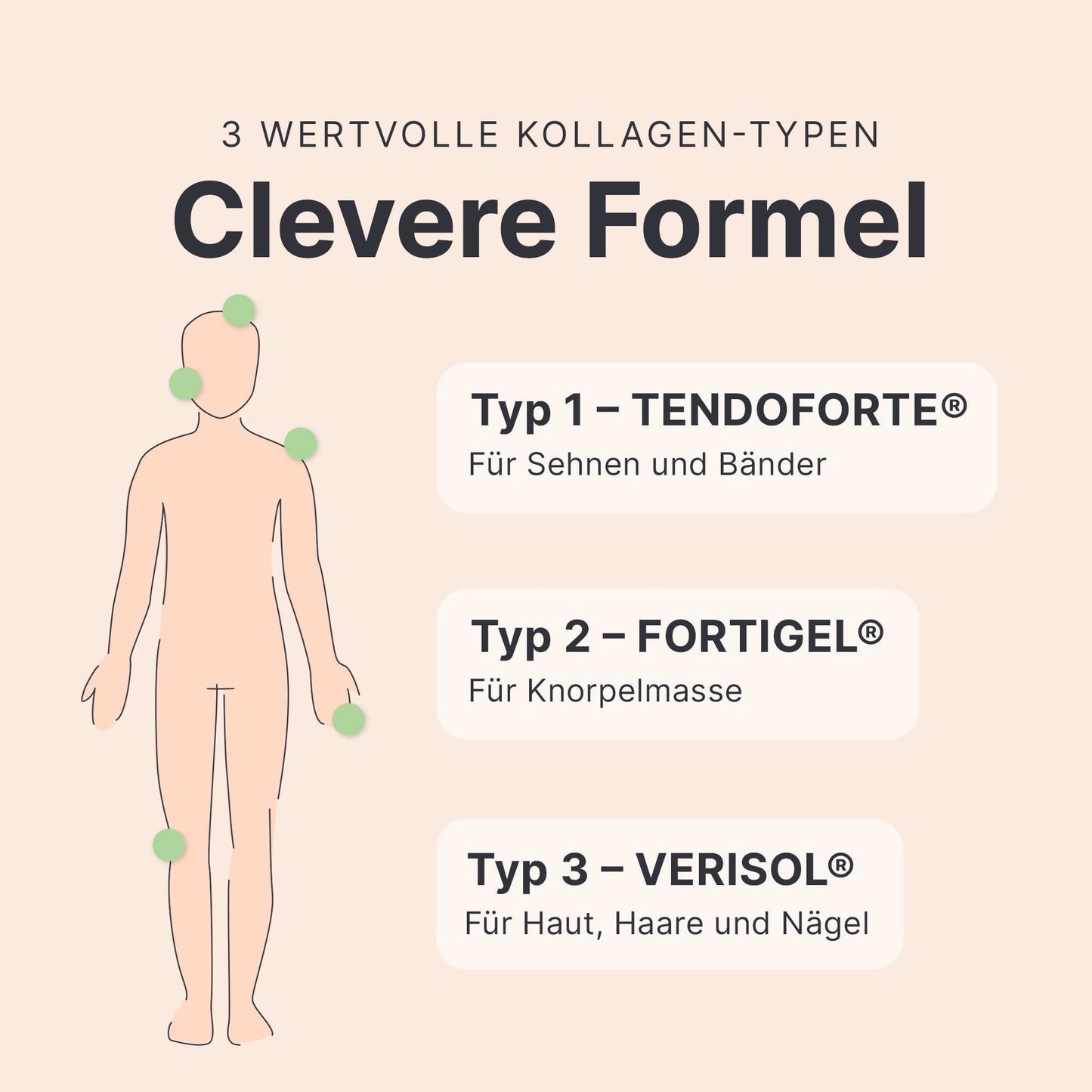 Abnehmen + Kollagen - 053658SE2