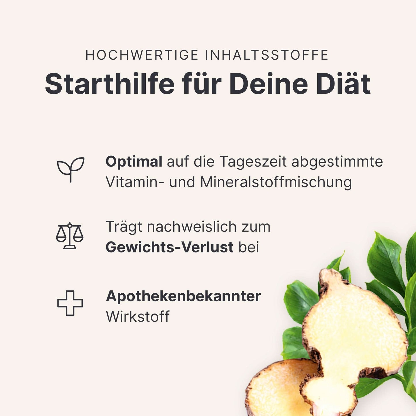 Abnehmkur Tropical - 053740