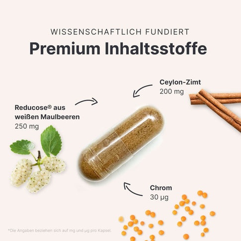 Balance Complete Box - 053762