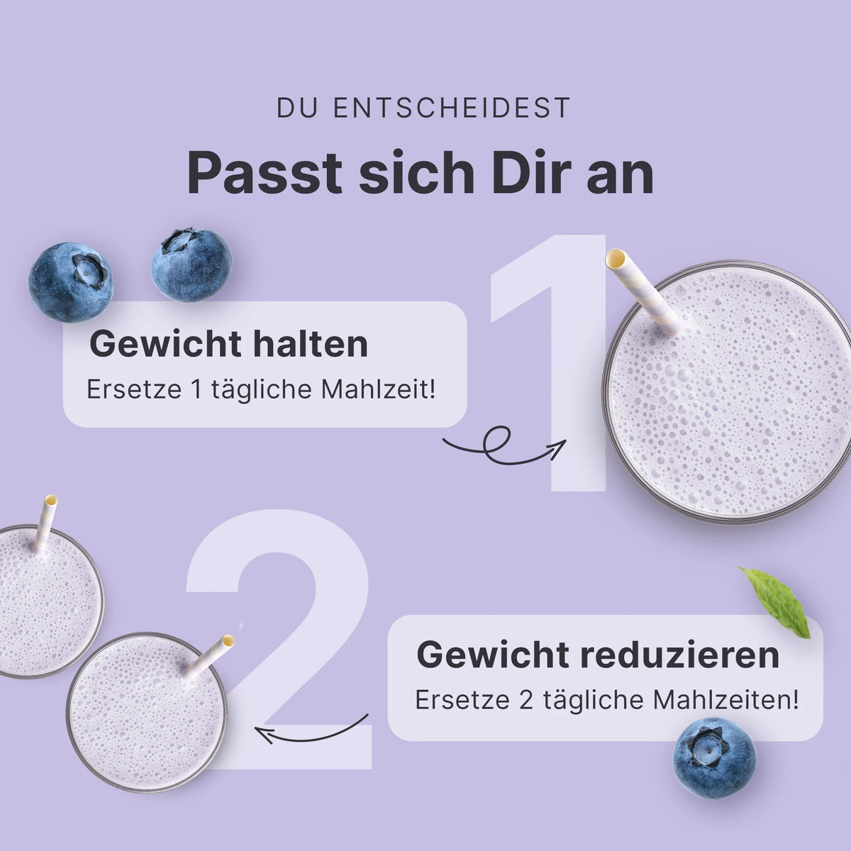 Balance Shake Blaubeer Muffin - 053908