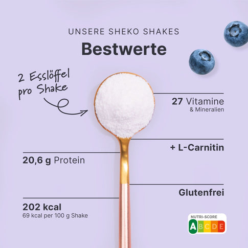 Balance Shake Blaubeere - 053779