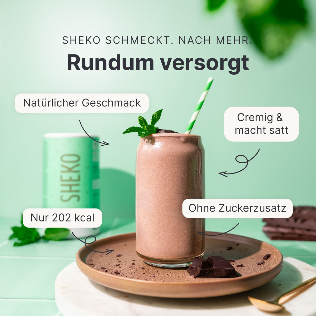 Balance Shake Schoko-Minze - 053787