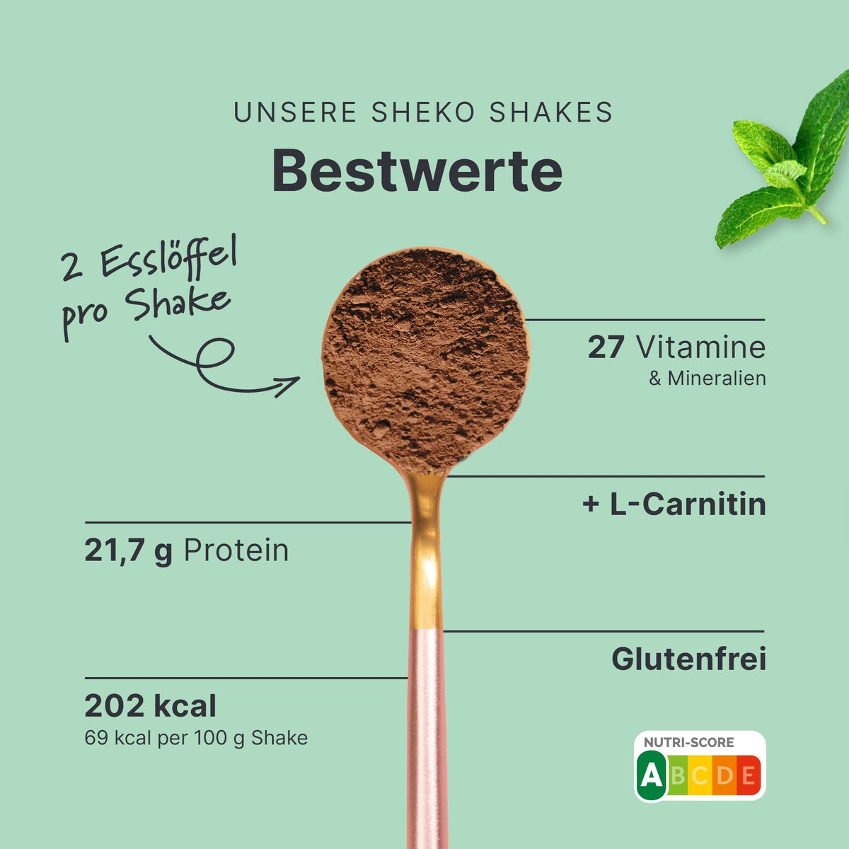 Balance Shake Schoko-Minze - 053787