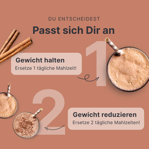 Balance Shake Vegan Zimt - 053801