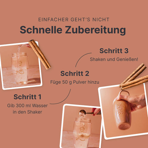 Balance Shake Vegan Zimt - 053801