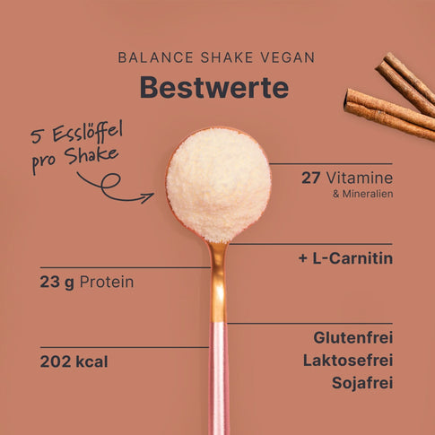 Balance Shake Vegan Zimt - 053801