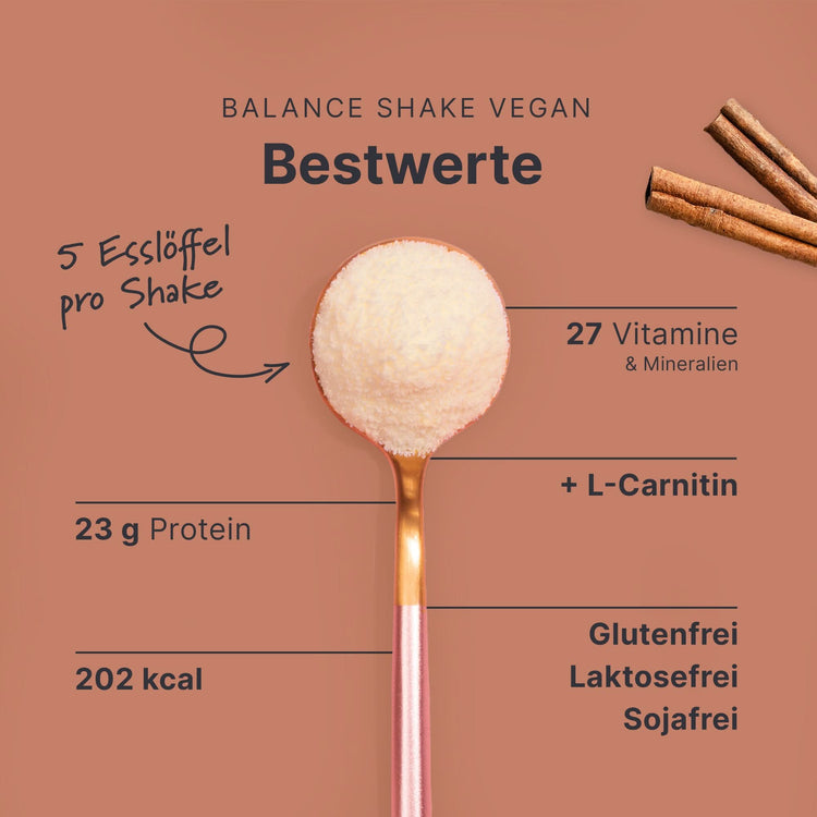 Balance Shake Vegan Zimt - 053801