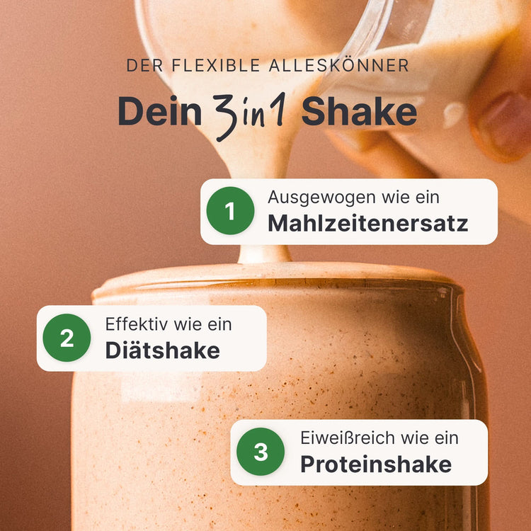 Balance Shake Vegan Zimt - 053801