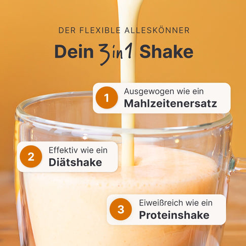 Balance Shake Winterspice - 053791