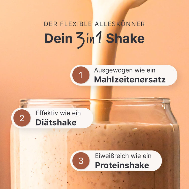 Balance Shake Zimt - 053737
