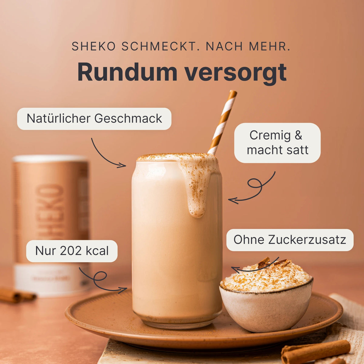 Balance Shake Zimt-Milch - 053972