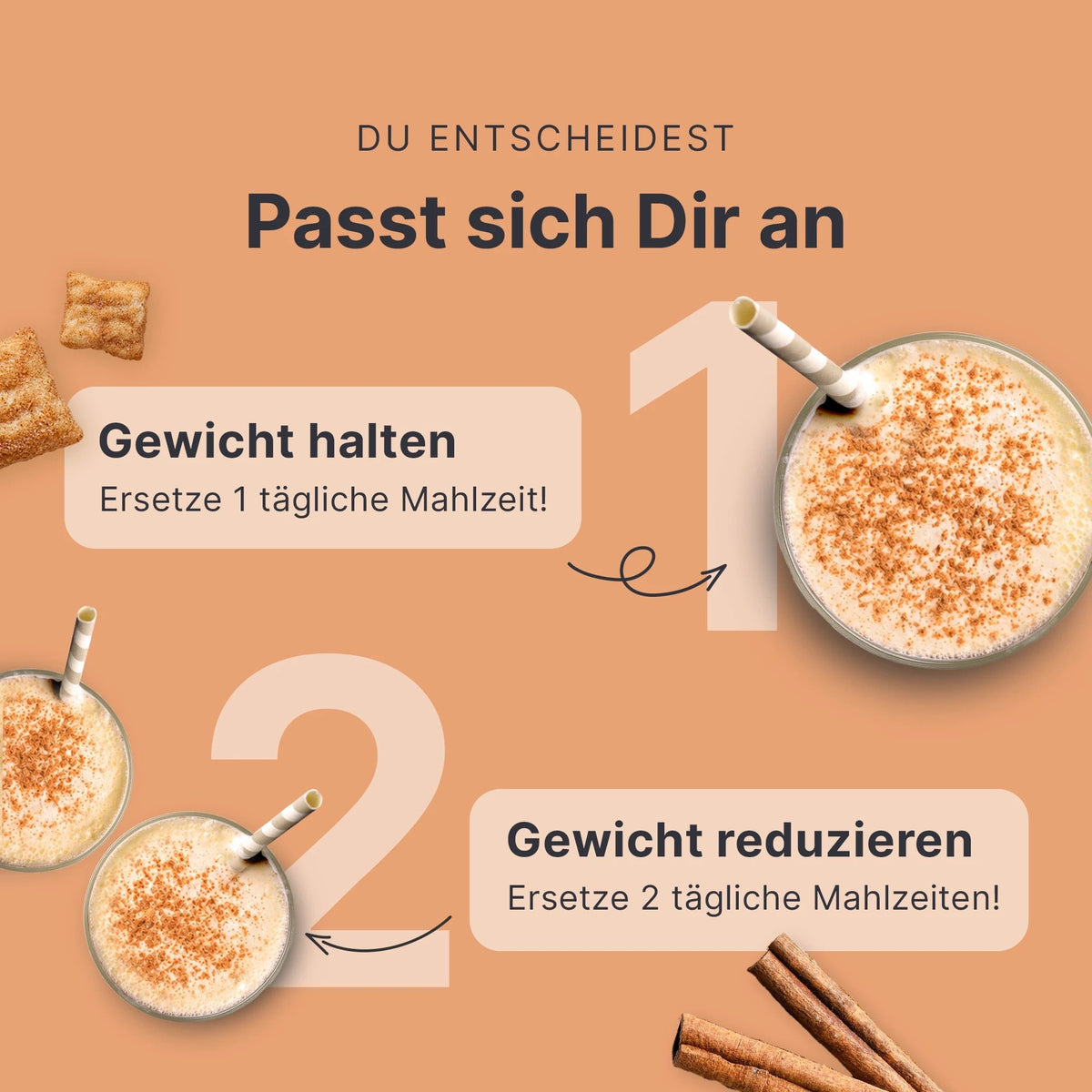 Balance Shake Zimt-Milch - 053972