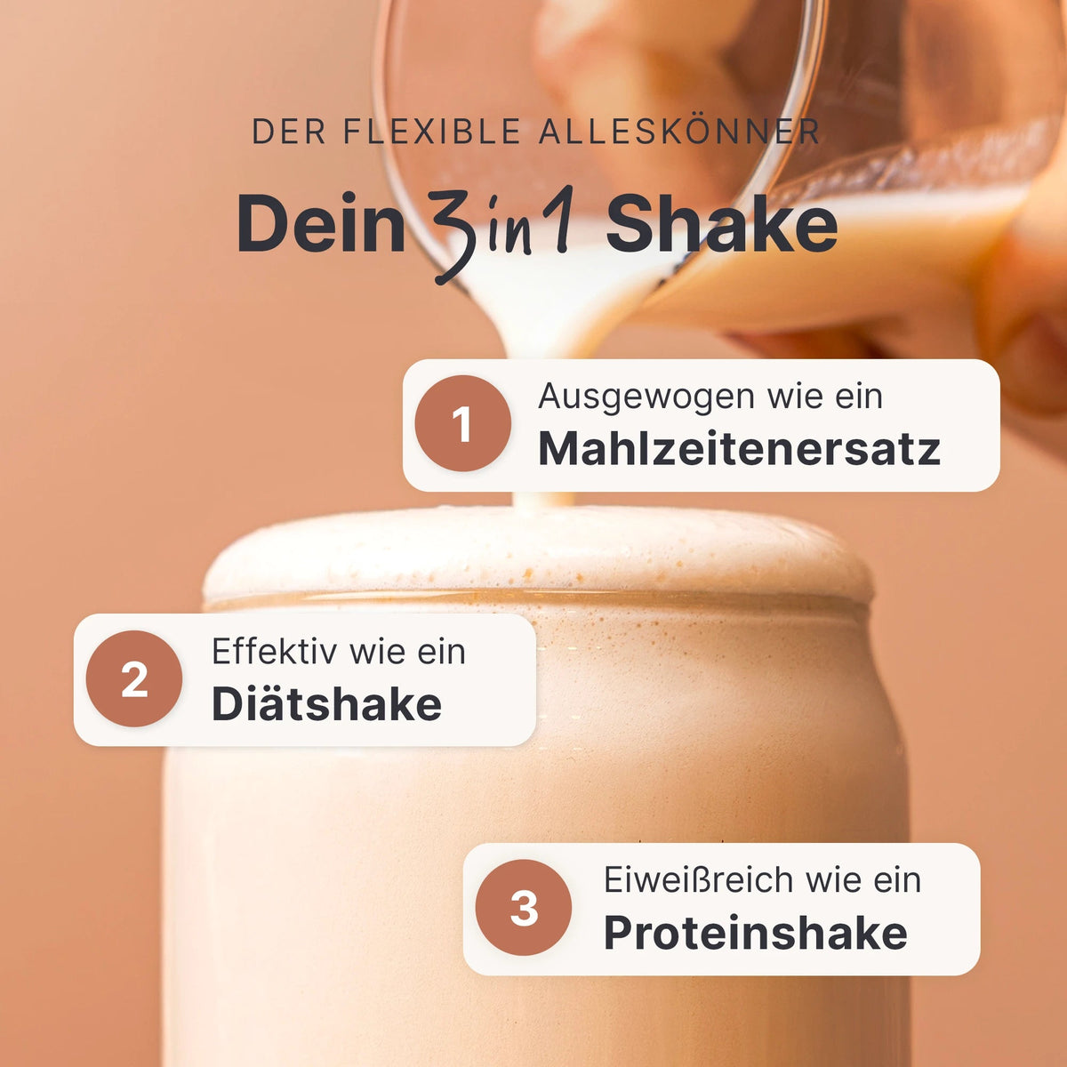 Balance Shake Zimt-Milch - 053972