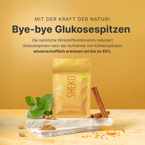 Blutzucker Balance Forte - 053739