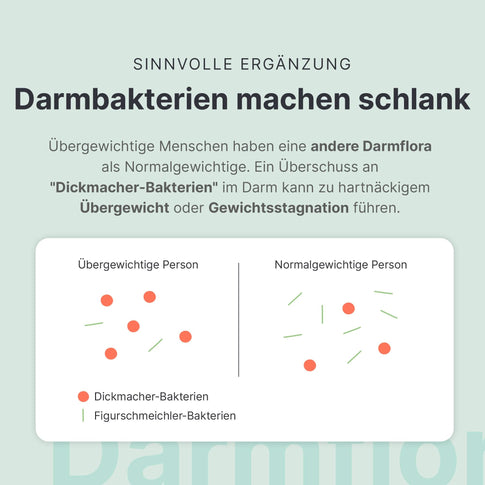 Darmflora Abnehmbegleiter - 053709