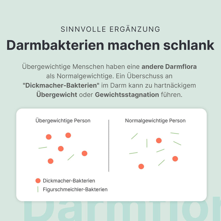 Darmflora Abnehmbegleiter - 053709