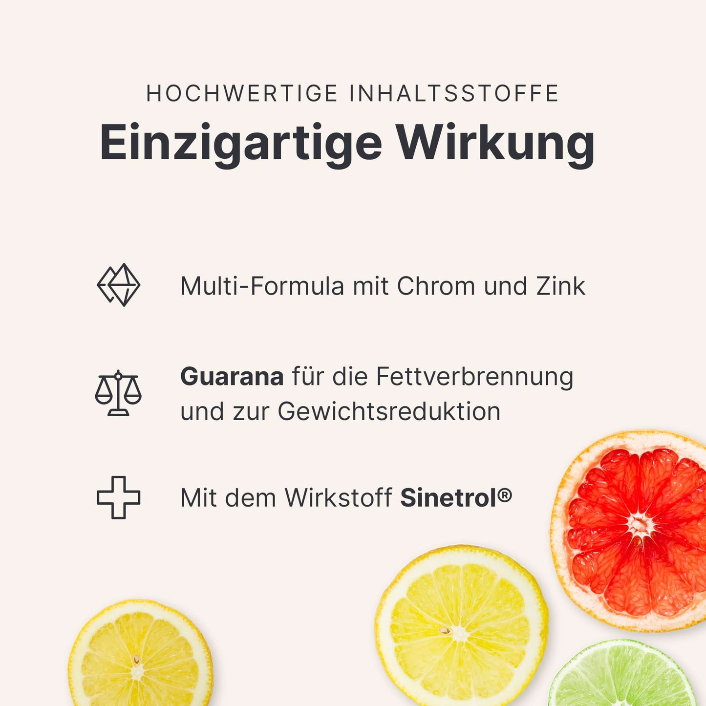 Fatburner Kapseln - 053608