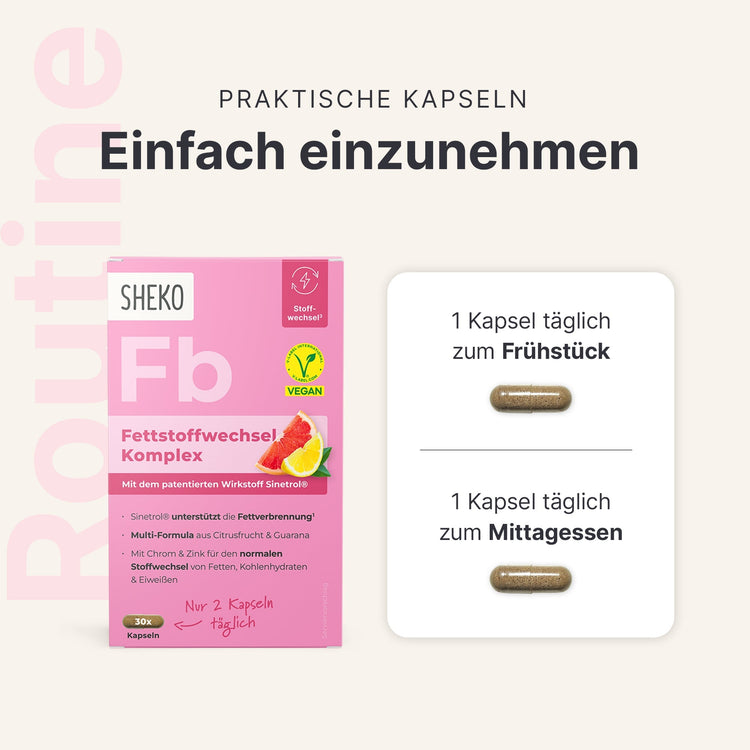 Fettstoffwechsel Komplex - 053768