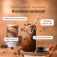 Iced Coffee Glow Set - 054148