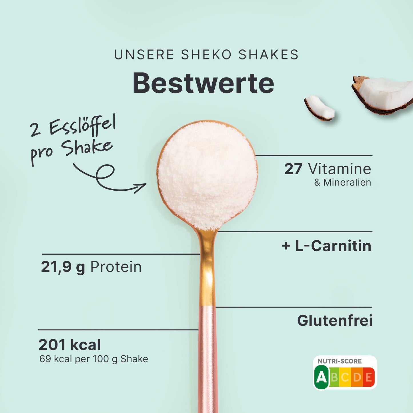 Shakemahlzeit Kokos