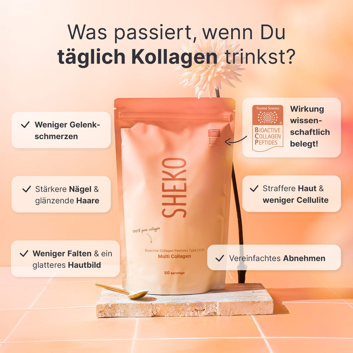 Kollagen Starter-Set - 