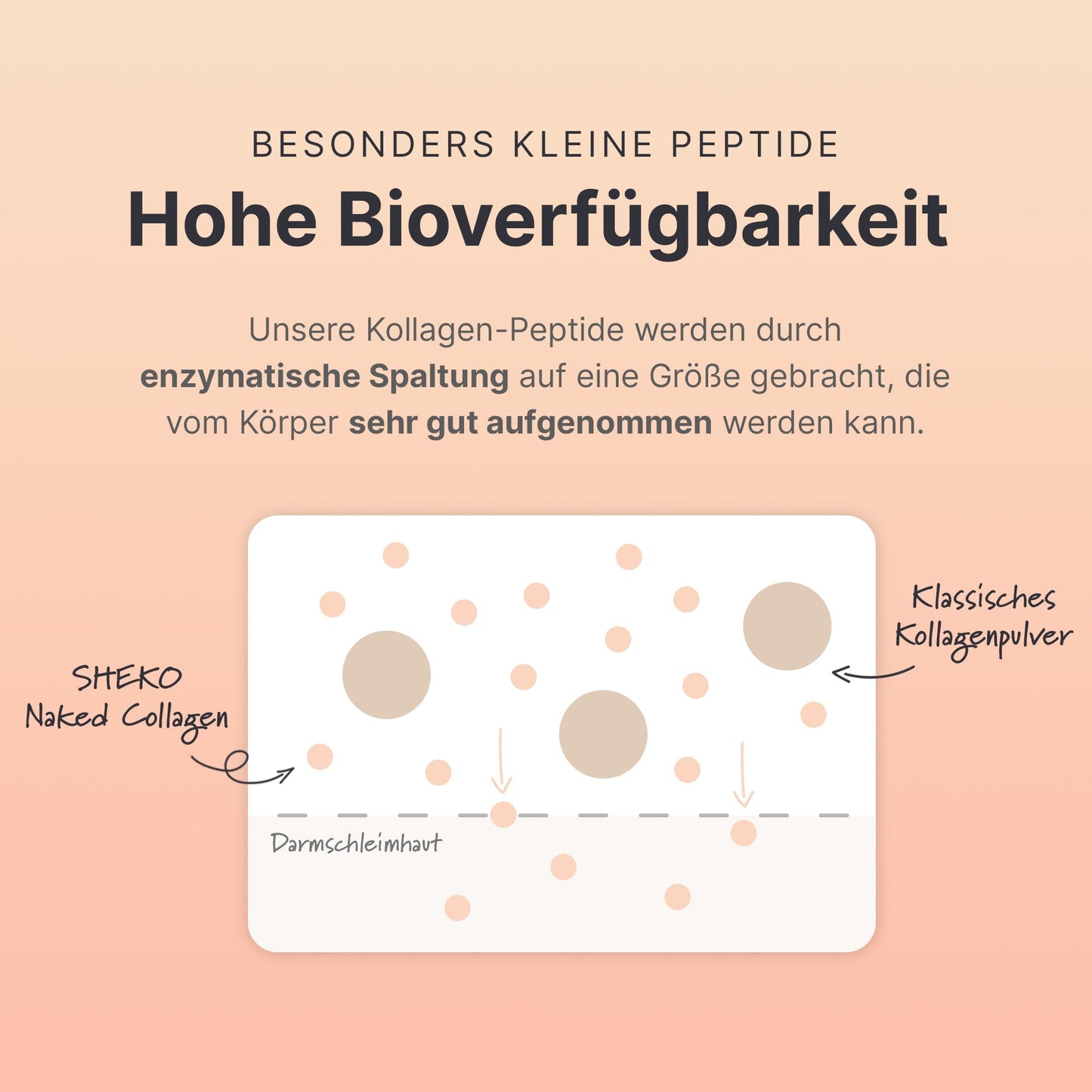 Multi Kollagen Pulver - 053638