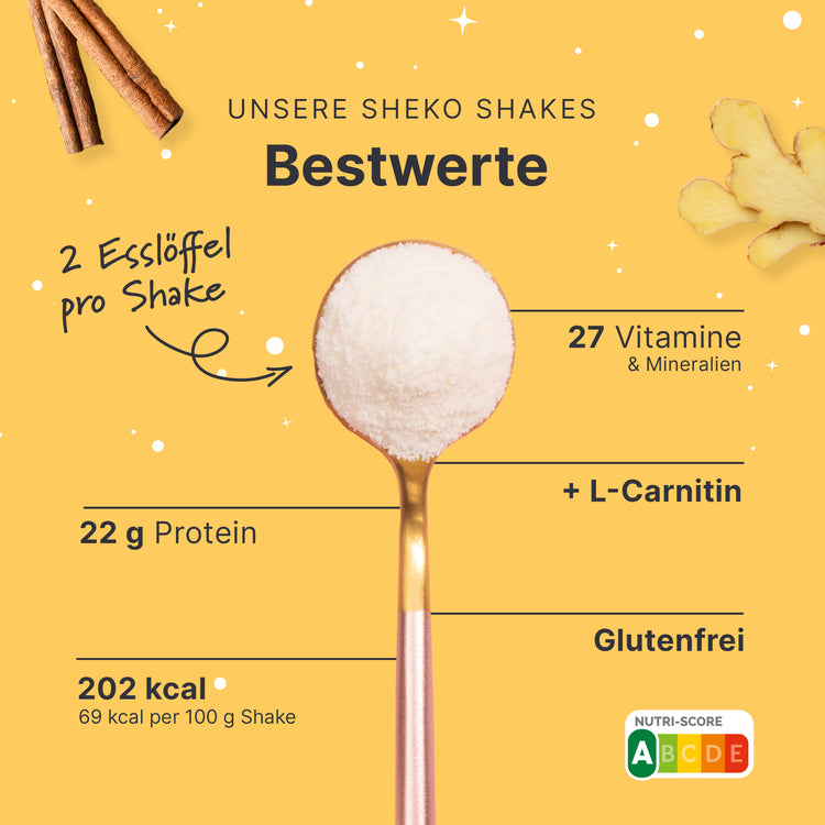 Balance Shake Winterspice (360g)