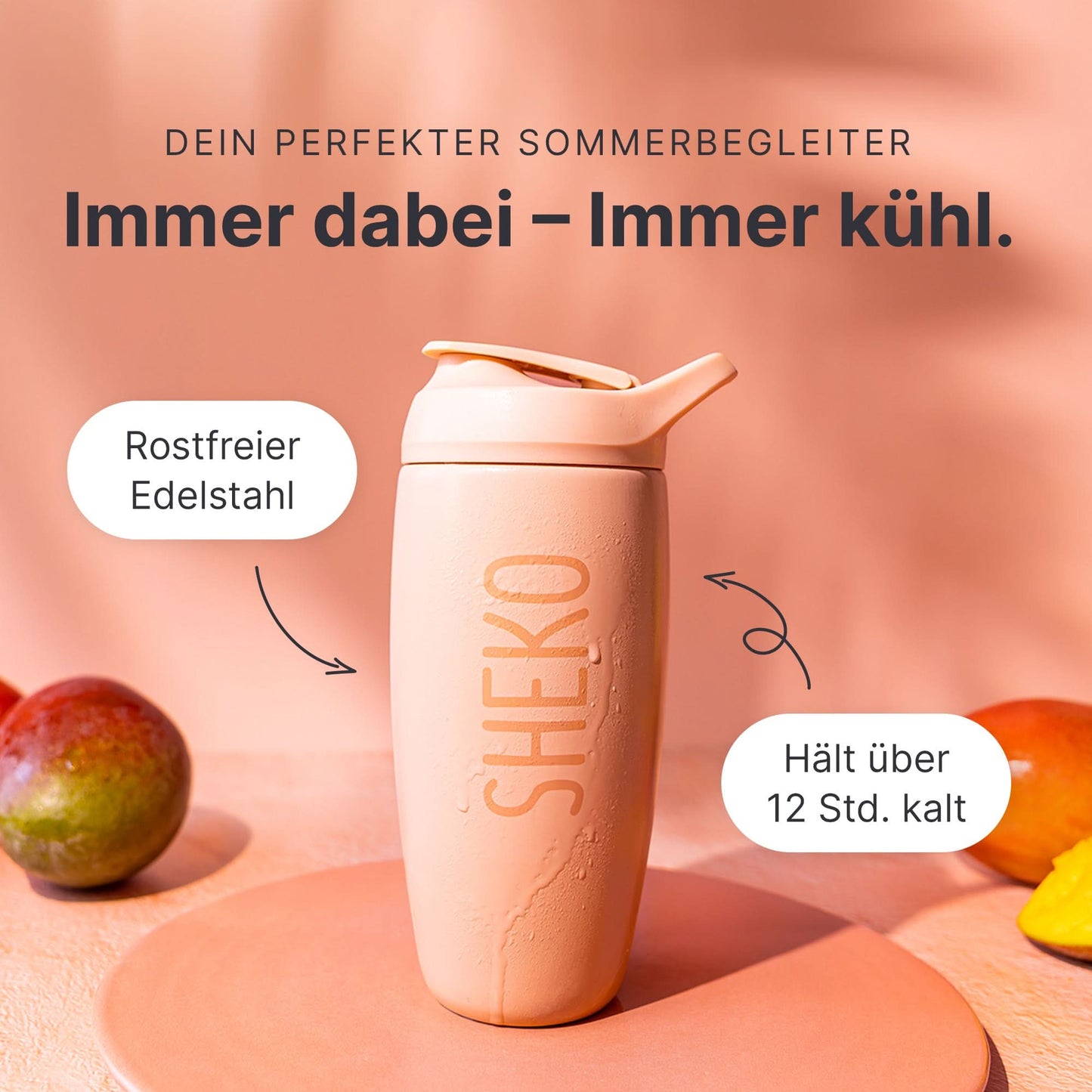 Thermoshaker 2.0 Rosé - 053720