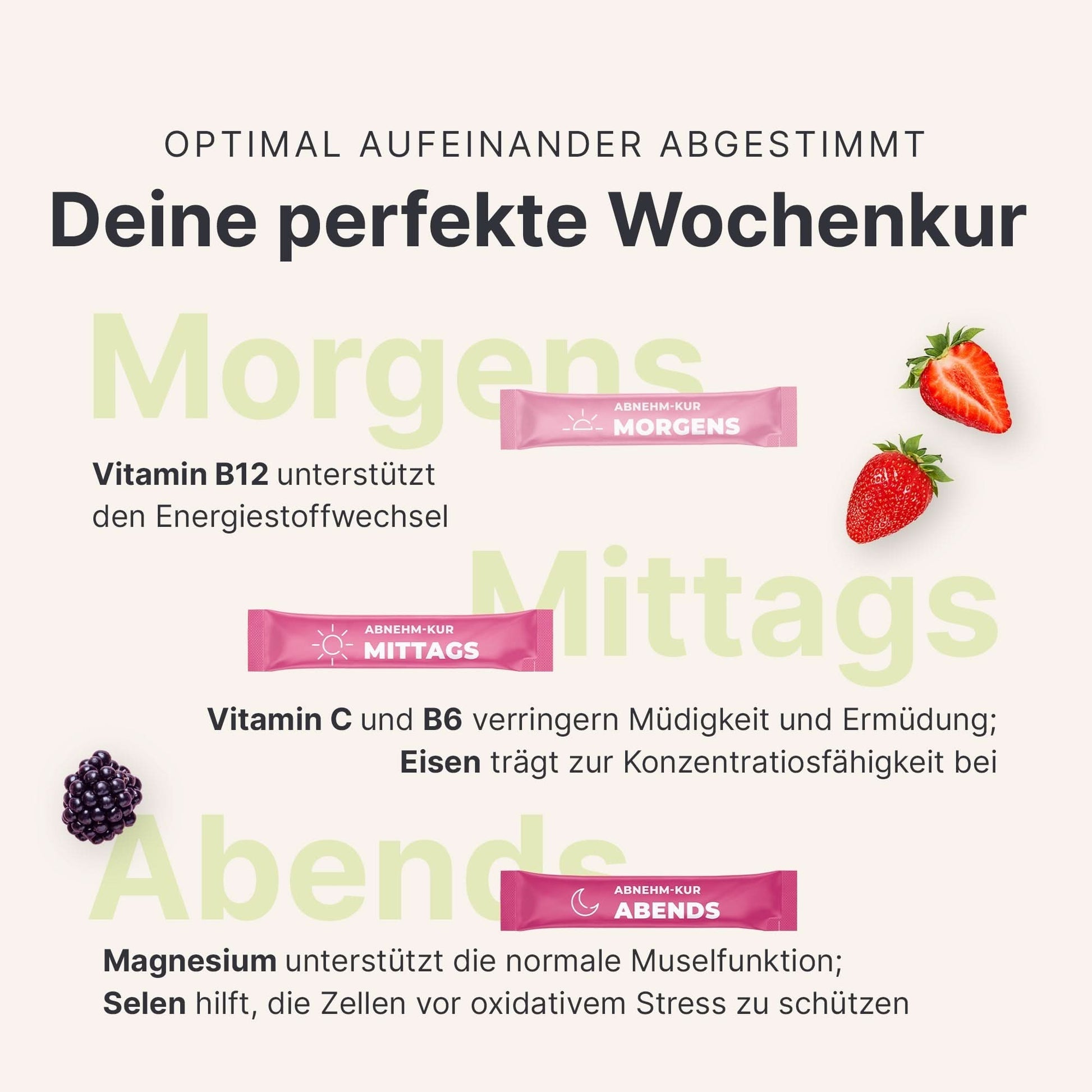 4 Wochen Starter - Set Vegan - 053482