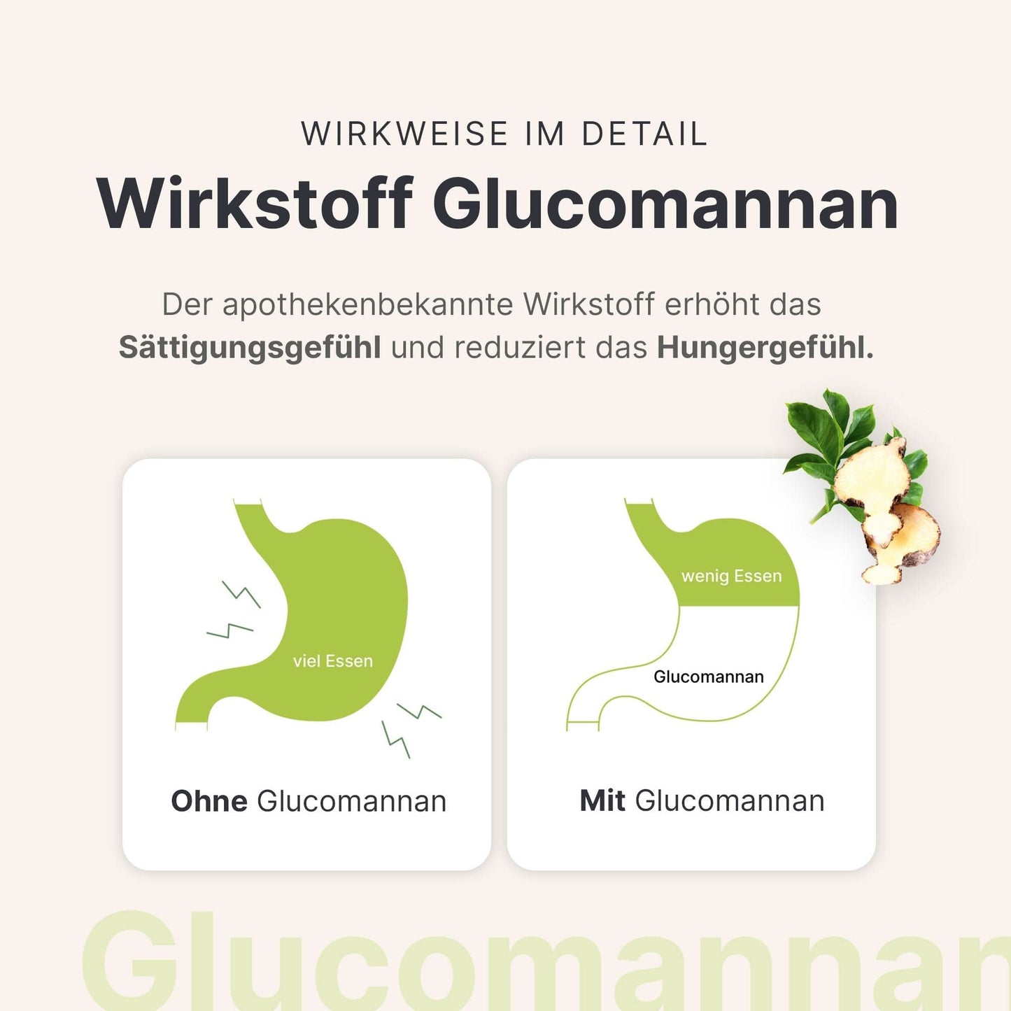 4 Wochen Starter - Set Vegan - 053482