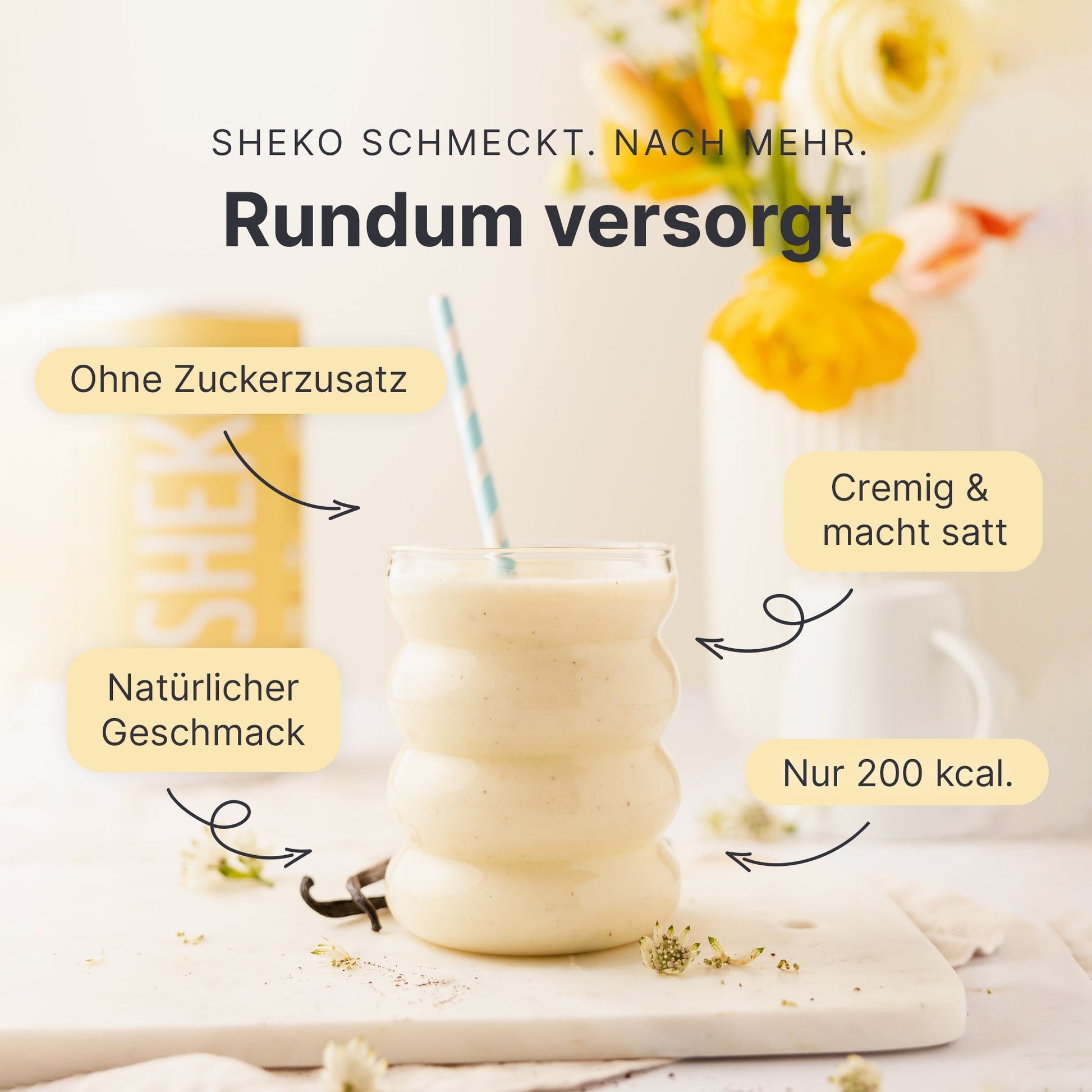 Diät Shake Vanille für 39,90 CHF kaufen